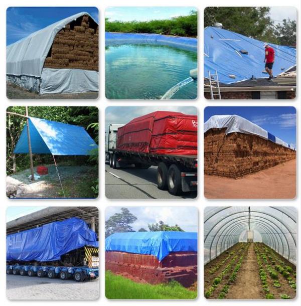 篷布：守護(hù)您的世界，從細(xì)節(jié)開(kāi)始